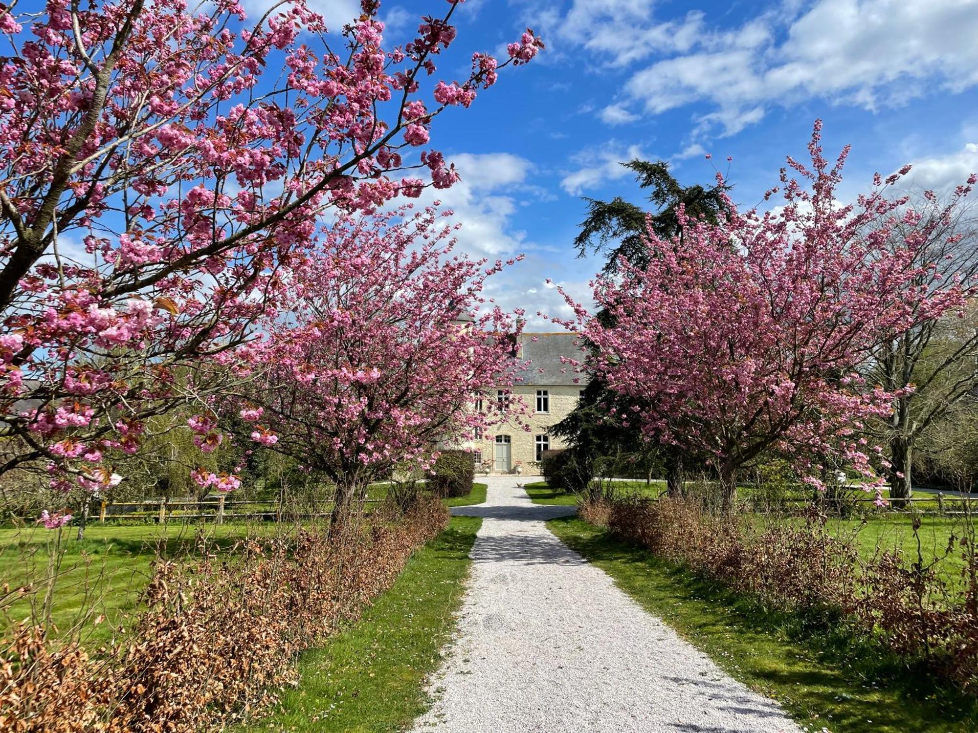 Chateau De Monfréville Exterior photo